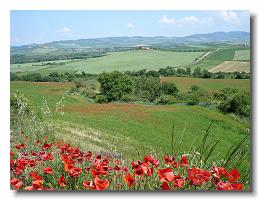 Val d'Orcia